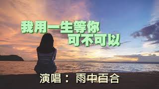 《我用一生等你可不可以》演唱：雨中百合