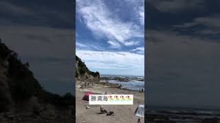 勝浦海🏖🏖🏖🏖🏖