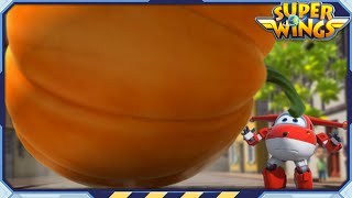 [SUPERWINGS2] The Pumpkin Roll | Superwings | Super Wings | S2 EP33