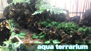 【初心者】滝の流れ落ちるアクアテラリウムを作ってメダカを飼育してみた【aqua terrarium】