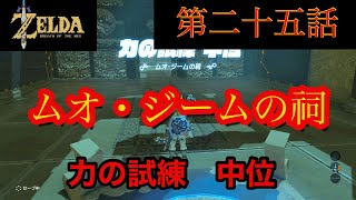 ゼルダの伝説　ムオ・ジームの祠　力の試練　中位