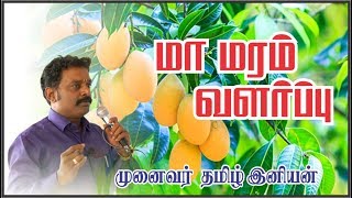 மா மரம் வளர்ப்பு/ Mango Tree Cultivation / Dr. Tamil Iniyan/ 9976935585