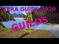 TERA: Guilds (Guide for New and Returning Players Part 8)