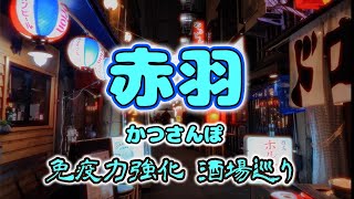 【赤羽かつさんぽ】「鯉とうなぎのまるます家 総本店」「桜商店603」「かしら屋の豚焼肉」「麺処 夏海」4軒酒場巡りfrom Akabane in Japan