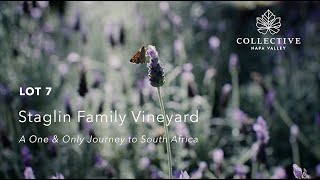 LOT 7  - Staglin Family Vineyard | A One \u0026 Only Journey to South Africa