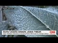 Suhu Udara Dingin Jawa Timur