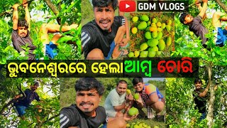 ଭୁବନେଶ୍ବରରେ ହେଲା ଆମ୍ବ ଚୋରି 🤭।। ଚନ୍ଦକା ଜଙ୍ଗଲ ରେ ଦେଖିଲି ମୟୂର 😀।। Odia Comedy🤣।। Odia Vlogs।। Gdm Vlogs