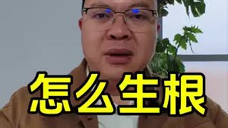 生根养根爆根，生什么根？怎么养根？很多人在不明不白的情况下使用产品，导致费用高，效果差。农业 生根 养根 爆根