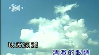 刀郎 肖尔布拉克MTV 国语 流行歌曲