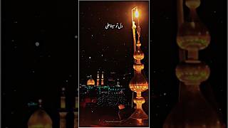 Janam Fida e haidri new naat WhatsApp status|Amjad baltistani|manqabat status #whatsappstatus#shorts