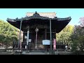 黄葉が美しい鑁阿寺の大銀杏 ~2018年11月27日撮影~ large ginkgo of