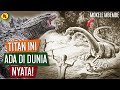 MOKELE MBEMBE TITAN IN REAL LIFE / Monsterverse!