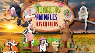 🐎🐕🐄🐈MOMENTOS ANIMALES DIVERTIDOS - VACAS, GATOS, PERROS, PATOS, CABALLOS - SONIDOS DE ANIMALES(P.20)