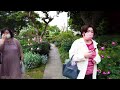 rose festival yokohama“hill park with a view of the harbor”walking for sleep and relax 4k