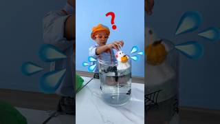 Spooky Sink Or Float With A Ghost Shorts