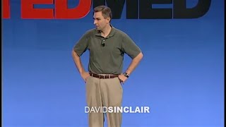 David Sinclair | Cure to Ageing (Short Version)