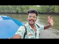 mangrove tour langkawi malaysia 🇲🇾 going to next country..