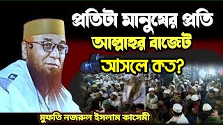 প্রতিটা মানুষের প্রতি আল্লাহর বাজেট আসলে কত?। mufti nazrul islam kasemi | নজরুল ইসলাম কাসেমীর ওয়াজ