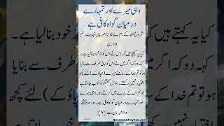 وہی میرے اور تمہارے درمیان گواہ کافی ہے.HAZRAT Muhammadﷺ Said | Ahadees e Mubaraka in Urdu | Hadees