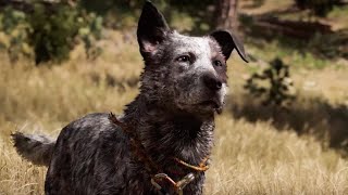 Far Cry 5 - Boomer Character Spotlight Trailer