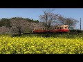 小湊鉄道飯給駅