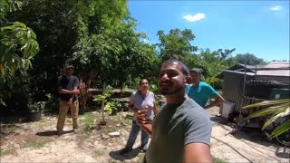 Guyanese Backyard In Florida - Visiting One Of My Subscriber Backyard