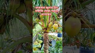 শুক্রবার জুমার দিন নবীজি দোয়া পরতে বলেছেন #trending #shortvideo #trendingshorts @nadiasvlog8338