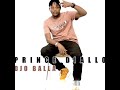 prince diallo djo balla officiel 2024