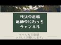 横浜の植木屋が一人工で仕上げた現場を30秒で見る。【刈り込みメイン】