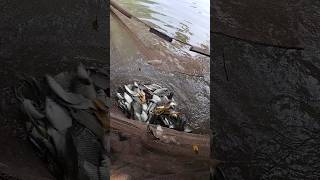 পুকুরে কি পরিমাণ মাছ ধরা পরলো দেখুন #trending #shorts #reels #fishing #viralvideo #bangladesh #funny