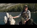 yosemite nature notes 36 mystery trees in tenaya lake