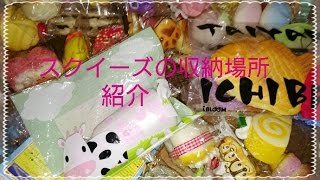 【全スクイーズ紹介】市販のスクイーズの収納場所の紹介✨