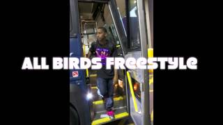 A'Less Mingo- All birds freestyle