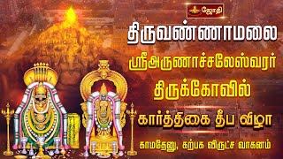 திருவண்ணாமலை ஸ்ரீஅருணாச்சலேஸ்வரர் திருக்கோவில் | கார்த்திகை தீபவிழா | காமதேனு, கற்பக விருட்சவாகனம்