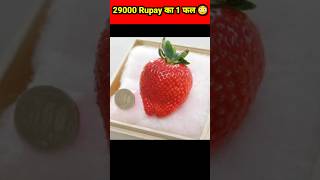 एक स्ट्रॉबेरी का दाम 29000 है 😱 #ytshorts #viral #facts #trending #shorts #fruit