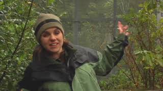 Meet the Locals: Karori Wildlife Sanctuary