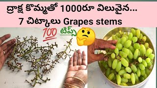 Amazing tips with Grapes stems ప్రతి ఇల్లాలికి ఉపయోగపడే చిట్కాలు