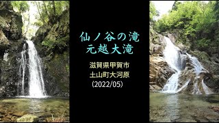 仙ノ谷の滝・元越大滝（滋賀県甲賀市土山町）・・・2022/05