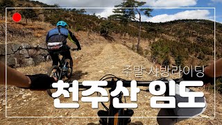 천주산 임도 즐거운 주말 샤방라이딩