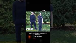 Wing Chun vs Mantis Kung Fu Techniques - Part 2 #shorts