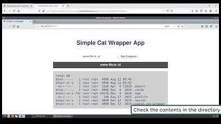 API Security Lab Walkthrough: Command Injection I