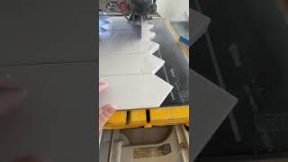 Testing out the dewalt 36000 wet saw