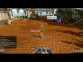 archeage 원딜러 딜량 테스트2