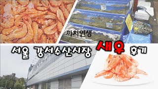 ⭐서울 강서수산물도매시장 ⭐ 제철 맞이 새우 후기 ⭐ 서울 새우 ⭐ 맛집, 구매후기 ⭐ 서울 왕새우, 대하