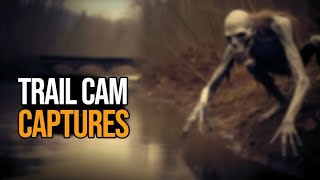 Shocking Trail Cam Footage: Unseen Encounters Caught Unintentionally @revealingmystery