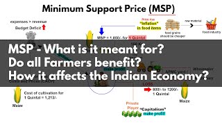 Minimum Support Price MSP Explained | Do all farmers benefit? Affect on Indian Economy