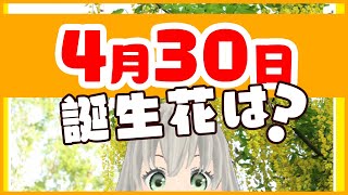 【花言葉】4月30日の誕生花は？／花白もか