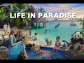 LIFE IN PARADISE