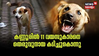 Stray Dog Attack | Kannurല്‍ സംസാരശേഷിയില്ലാത്ത 11 വയസുകാരനെ തെരുവ് നായ കടിച്ചുകൊന്നു