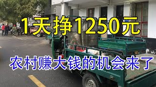 只要你不怕脏，1天收入1250元，轻松自由，全年无淡季，人人可干